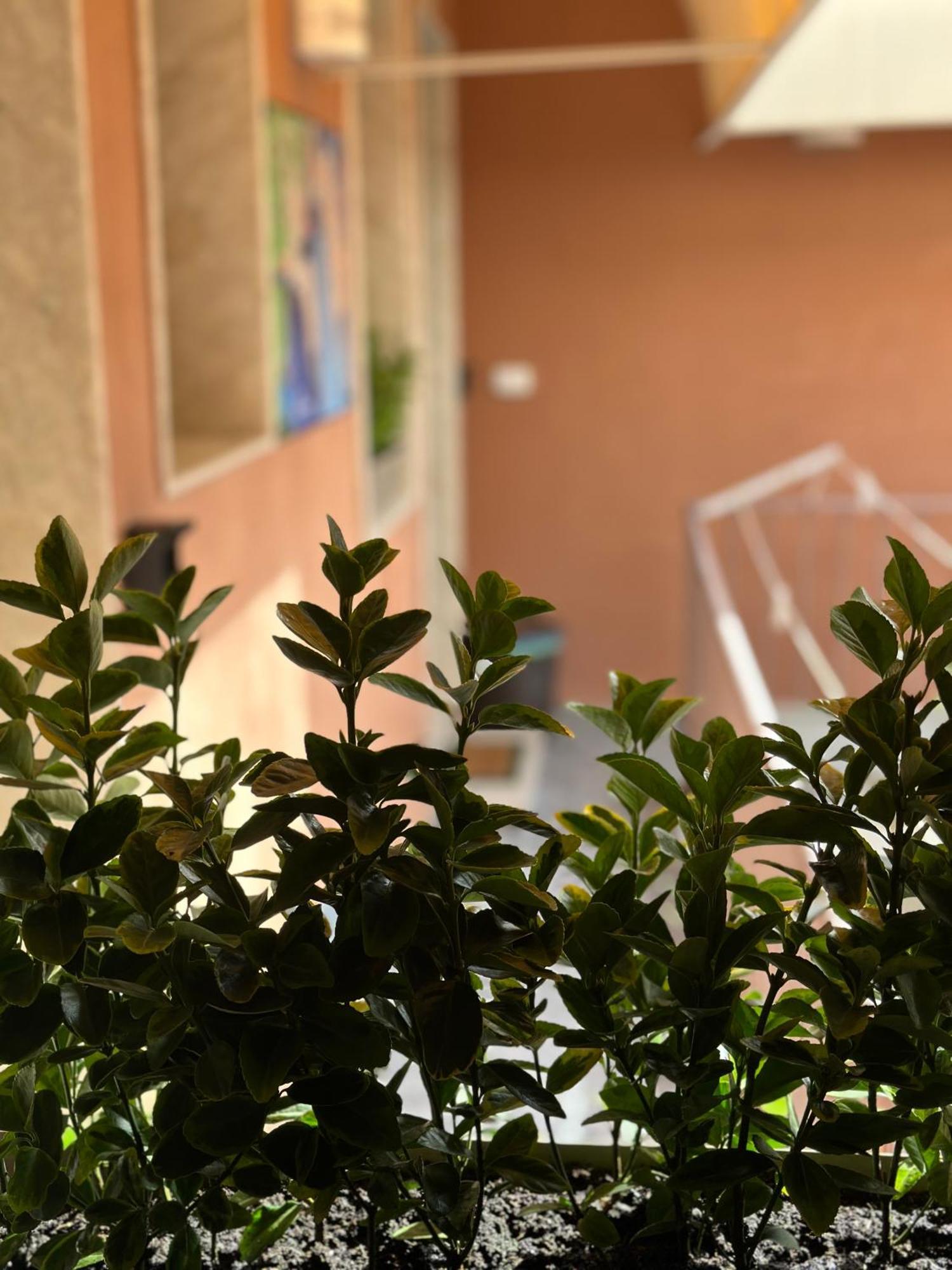 Le Camere Luxury Rooms Siracusa Syracuse Bagian luar foto